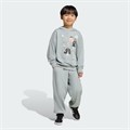 Купить оптом Костюм спортивный adidas LK TRNSTR SET WOSA/WHITE KA5110 KA5110