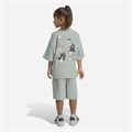 Купить оптом Комплект adidas LK TRNSTR TSET WOSA/WHITE KE2663 KE2663