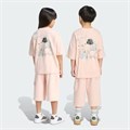 Купить оптом Комплект adidas LK TRNSTR TSET BLUPNK/WHITE KE2664 KE2664