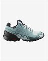Купить оптом Кроссовки Salomon SPEEDCROSS 6 GTX W L47880100 L47880100