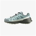Купить оптом Кроссовки Salomon SPEEDCROSS PEAK GTX W L47974500 L47974500