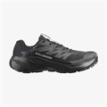 Купить оптом Кроссовки Salomon ALPHAGLIDE GTX W L49214400 L49214400