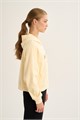 Купить оптом Толстовка на молнии Anta SPORTS CLUB Knit Олимпийка 862638707-2 862638707-2