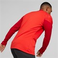 Купить оптом Джемпер тренировочный Puma teamCUP Training 1/4 Zip Top 65798201 SR 65798201