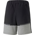 Купить оптом Шорты х/б Puma teamCUP Casuals Shorts 65798903 SR 65798903