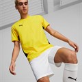 Купить оптом Футболка игровая Puma teamCUP Jersey 70537007 SR 70537007