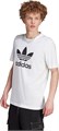 Купить оптом Футболка adidas TREFOIL Футболка IM4494 IM4494