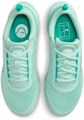 Купить оптом Кроссовки Nike Кроссовки NIKE W ZOOM COURT PRO HC DV3285-300 DV3285-300