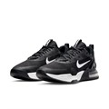 Купить оптом Кроссовки Nike M NIKE AIR MAX ALPHA TRAINER 5 DM0829-001 Black/White Male DM0829-001