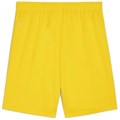 Купить оптом Puma Шорты Teamgoal Shorts, 70575207 70575207