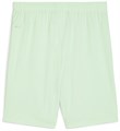 Купить оптом Puma Шорты Teamgoal Shorts, 70575260 70575260
