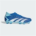 Купить оптом Бутсы Adidas PREDATOR ACCURACY.3 FG GZ0026 Blue Male GZ0026 - фото 65518
