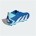 Купить оптом Бутсы Adidas PREDATOR ACCURACY.3 FG GZ0026 Blue Male GZ0026