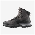 Купить оптом Кроссовки Salomon QUEST 4 GTX W L47000200 Magnet/Black/Sun Kiss Female L47000200