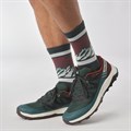 Купить оптом Кроссовки Salomon OUTRISE GTX L47142100 Ponderosa Pine/Bitter Chocolate/Vanilla Ice Male L47142100