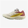 Купить оптом Кроссовки Salomon SENSE RIDE 5 W L47212400 Rainy Day/Hot Sauce/Freesia Female L47212400 - фото 75096 Купить оптом Кроссовки Salomon SENSE RIDE 5 W L47212400 Rainy Day/Hot Sauce/Freesia Female L47212400 - фото 75096