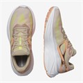 Купить оптом Кроссовки Salomon AERO GLIDE W L47280900 Safari/White/Cantaloupe Female L47280900