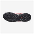 Купить оптом Кроссовки Salomon SPEEDCROSS 6 W L47301100 Cow Hide/Black/English Rose Female L47301100 - фото 75181 Купить оптом Кроссовки Salomon SPEEDCROSS 6 W L47301100 Cow Hide/Black/English Rose Female L47301100 - фото 75181