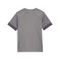Купить оптом Puma Футболка Спорт. Назнач. Teamgoal Matchday Jersey Jr, 70574813 70574813