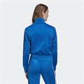 Купить оптом Олимпийка Adidas FIREBIRD TT PBBLUBIR H35515 Female 32 H35515
