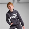 Купить оптом Puma Джемпер Ess Big Logo Hoodie, 58696523 58696523