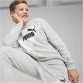 Купить оптом Puma Джемпер Power Graphic Crew, 67925504 67925504