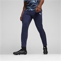 Купить оптом Puma Брюки Individualliga Trainingpants, 65951706 65951706