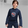 Купить оптом Puma Джемпер Спорт. Назнач. Active Sports Poly Hoodie, 67921514 67921514