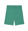 Купить оптом Puma Шорты Teamgoal Shorts, 70575205 70575205