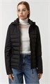 Купить оптом Куртка Calvin Klein Lightweight Scuba Side Panels Adjustable Hood Zip Pockets Puffer CW233227-BLK CW233227-BLK - фото 81891
