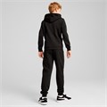 Купить оптом Puma Костюм Спортивный Squad Fz Sweat Suit Fl, 68331801 68331801
