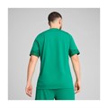 Купить оптом Футболка тренировочная Puma teamCUP Training Jersey 65916705 65916705