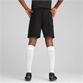 Купить оптом Шорты тренировочные Puma teamCUP Training Shorts 65917103 65917103