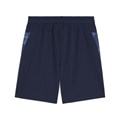Купить оптом Шорты тренировочные Puma teamCUP Training Shorts 65917106 65917106