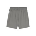 Купить оптом Шорты тренировочные Puma teamCUP Training Shorts 65917113 65917113