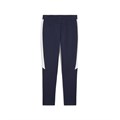 Купить оптом Puma Брюки Teamevostripe Pants Jr, 65996406 65996406