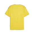 Купить оптом Puma Футболка Спорт. Назнач. Teamcup Jersey, 70627207 70627207 - фото 88207 Купить оптом Puma Футболка Спорт. Назнач. Teamcup Jersey, 70627207 70627207 - фото 88207