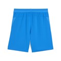 Купить оптом Шорты игровые Puma teamCUP Shorts 70627502 70627502