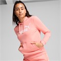 Купить оптом Puma Джемпер Ess No. 1 Logo Hoodie, 68239118 68239118