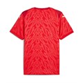 Купить оптом Футболка игровая Puma teamCUP Jersey Jr 70627401 70627401