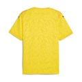 Купить оптом Футболка игровая Puma teamCUP Jersey Jr 70627407 70627407