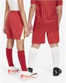 Купить оптом Шорты Nike LFC Y NK DF SHORT STAD HM FN9190-687 GYM RED/WHITE/CHROME YELLOW Kids FN9190-687