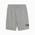 Купить оптом Puma Шорты Ess No. 1 Logo Shorts Tr, 68491803 68491803 - фото 90436