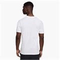 Купить оптом Футболка Nike M NKCT DF TEE HO24 HF6219-100 BLACK Male HF6219-100 - фото 91247 Купить оптом Футболка Nike M NKCT DF TEE HO24 HF6219-100 BLACK Male HF6219-100 - фото 91247