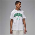 Купить оптом Футболка Nike M JORDAN CITY 88 SS CREW HQ0009-101 WHITE/PINE GREEN/PINE GREEN Male HQ0009-101 - фото 91779