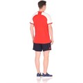Купить оптом Комплект волейбол (футболка+шорты) Asics MAN VOLLEYBALL V-NECK SET 156851-06 REAL RED Male 156851-0600
