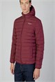 Купить оптом Пуховик AQUASCUTUM Active AA-FW22-JK004-RED AA-FW22-JK004-RED - фото 94188