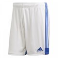 Купить оптом Шорты Adidas TASTIGO19 SHO WHITE/ROYBLU FL7789 Male FL7789 - фото 95160