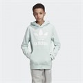 Купить оптом Толстовка Adidas TREFOIL HOODIE VAPGRN/WHITE ED7814 Kids 158 ED7814 - фото 96904