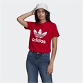 Купить оптом Футболка Adidas TREFOIL TEE SCARLE GN2902 Female 40 GN2902 - фото 96984